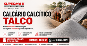 calcário calcítico talco